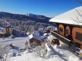 Appartement La Croix Saint Jean Valberg, hotel in Valberg