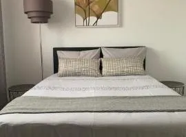 Appartement proche centre-ville