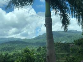 Ocean & Mountain Lodge, hotel v destinaci Luquillo