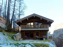 Madame Vacances Chalet Acajuma