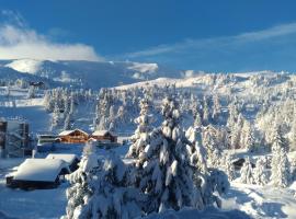 Wohnung im Herzen der Turracher Höhe, ski resort in Brandstätter