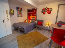 APPART dans HYPER CENTRE (GARE/WIFI/PARKING)