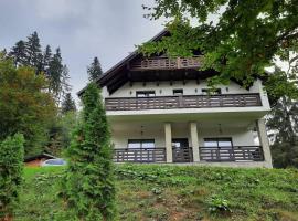 Casa Mălina Putna, vacation rental in Suceava