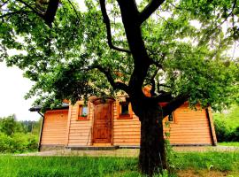Tylicki Stary Dom – dom wakacyjny w mieście Tylicz