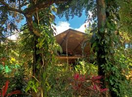Cascada Verde Hostel: Uvita'da bir hostel