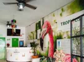 푸에르토 바야르타에 위치한 호텔 Tropicus 1 (Romantic Zone) Estudio Room