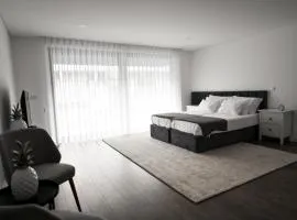 PALHOTAS GUEST HOUSE - Apartamento Sé de Braga