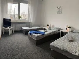 Hostel Czecha
