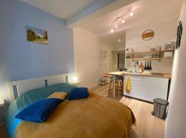 Studio très agréable proche de Auron, hotel in Saint-Étienne-de-Tinée