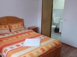 Vila Bucovina