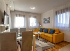 Apartman Gavrilov 4