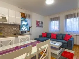Apartman Gavrilov 3