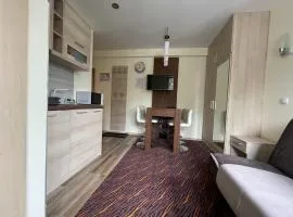 Apartment Koko