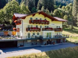 4 Mountains Apartments, guest house in Kleinarl
