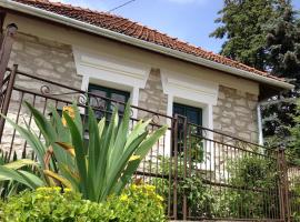 Czir&oacute;ka Vend&eacute;gh&aacute;z