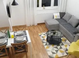 Apartman Mladenovic Divcibare
