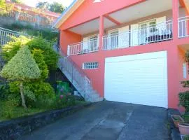 Maison cosy avec vue sur la montagne de Cilaos