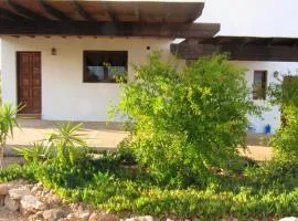 One bedroom house with garden at Triquivijate