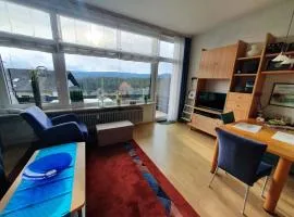 Appartement mit Südbalkon im Haus Feldbergblick in Kappel - Appartement 37