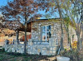 Villa SEMI, cabin in Gjilan