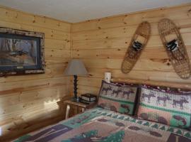 Rowe's Adirondack Cabins of Schroon Lake – hotel w pobliżu miejsca Underground Railroad Trail w mieście Schroon Lake