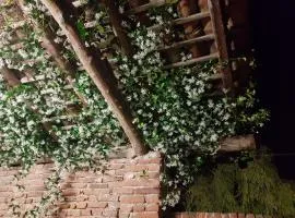 Az.Agr.Cascina Moretta