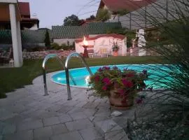 Villa Casa sol-rural residence near Linz