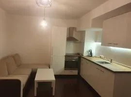 The white apartment at the ski