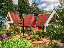 4 gites individuels &agrave; Kaysersberg