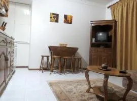 Charming Apartment in Alvoco da Serra - Mountain View - 50 sqm