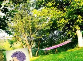 Lavander Garden Camping
