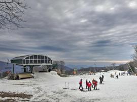 Wintergreen Home with Hot Tub, Deck and Mountain Views, hotel amb aparcament a Wintergreen