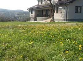 Livada de Zmeura