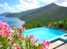 Tortola Adventure Private Villa Ocean-View Pool, hotel met zwembaden in Freshwater Pond