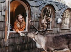 Igluhut – Sleep with reindeer, hotel Espooban