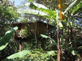 TREEHOUSE PILON PAVONES, beach hotel in Pavones