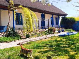 Traditional House in Danube Delta, villa à Jurilovca