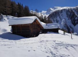 Chalet Biene - Swiss Alp Chalet with Sauna and Jacuzzi, hotel en Ulrichen
