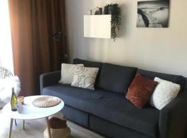 Apartmány Trio Krkonoše, hotel em Horní Marsov