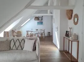 Santorin, Appartement lumineux au coeur de Vannes