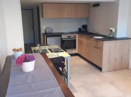 Logement entier 4 personnes Villefranche sur Saone，索恩河畔自由城的飯店