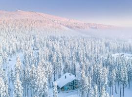 Karhupiha, hotelli Levillä