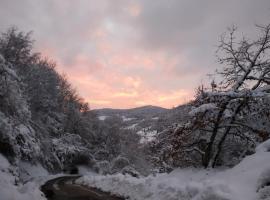 La Ferme sous les Hiez, homestay in Cornimont