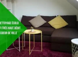 L1 - Green and cosy flat close Paris - WIFI