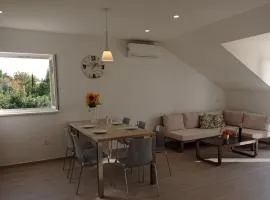 Apartment Lucija with sea view