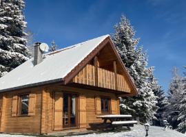 Chalet de la Grimpette au coeur de Gérardmer, Hotel in Gérardmer