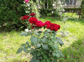 Casa Bucur, hotel i Târgu Ocna