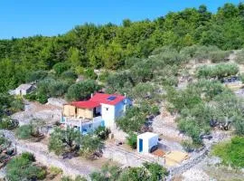 Greenside Cottage Lumi