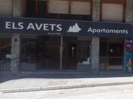 Apartaments Els Avets