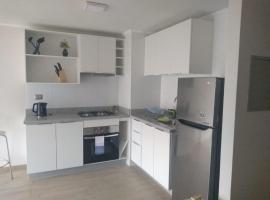 Panor&aacute;mico Vi&ntilde;a del Mar